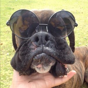 Meet your Posher, Lena